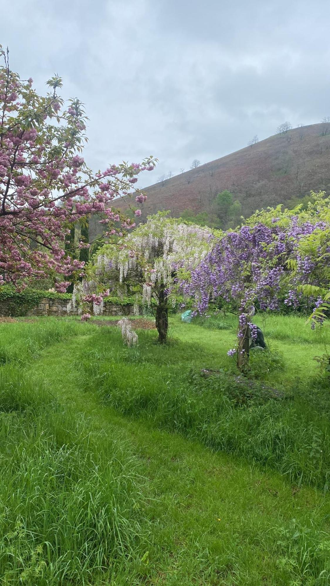 Etxe Arrosa Saint-Martin-dʼArrossa